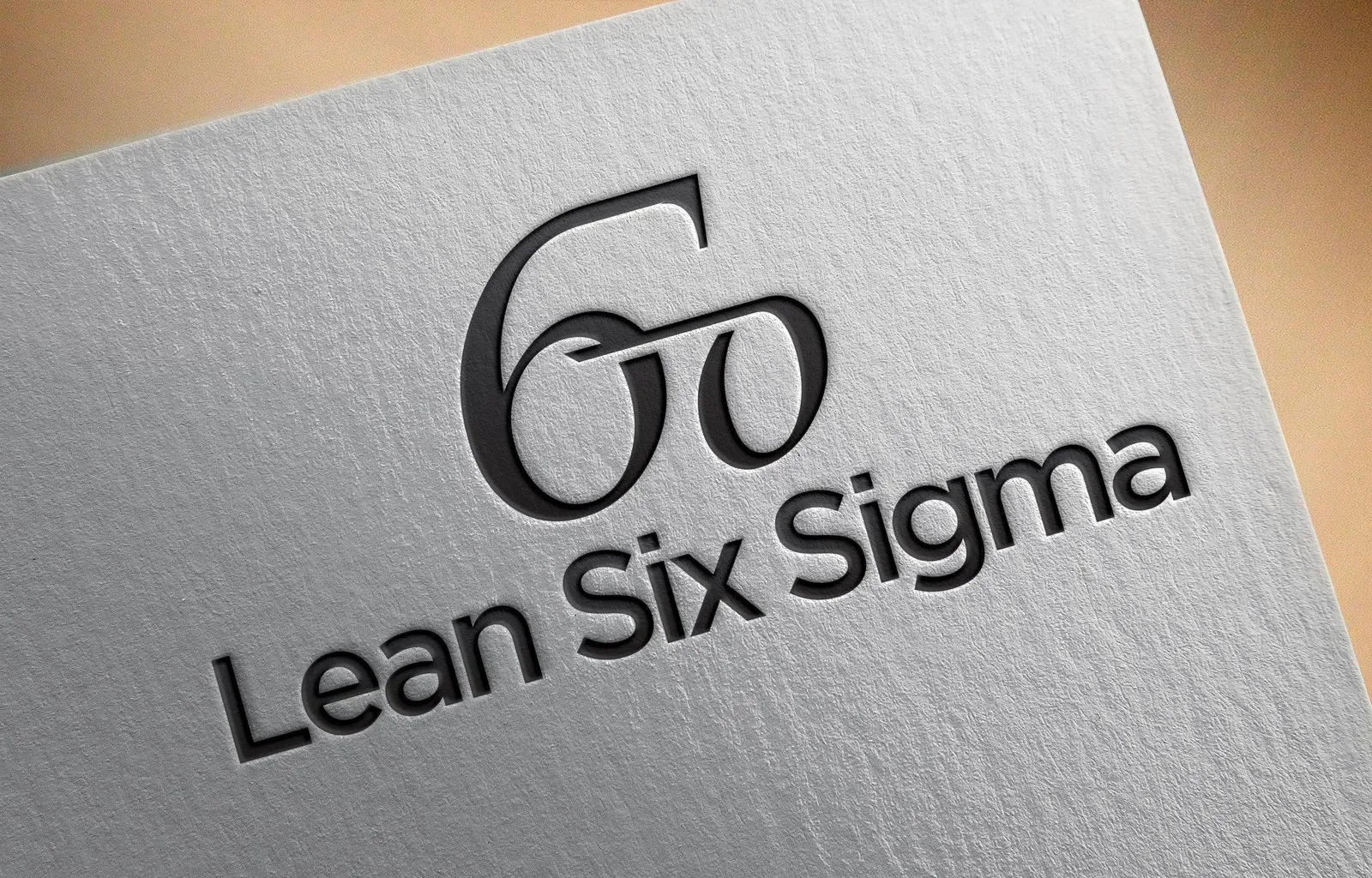 Logo Lean Six Sigma vyražené na bílém pozadí s elegantním designem.
