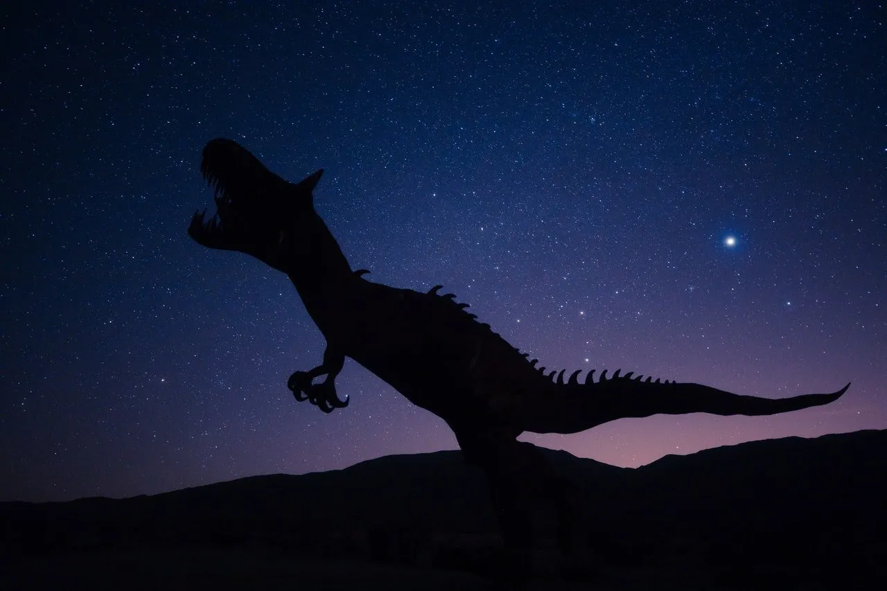 Silhouette tyranosaura proti noční obloze plné hvězd.